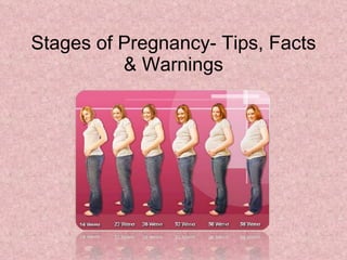 Stages of Pregnancy- Tips, Facts & Warnings 