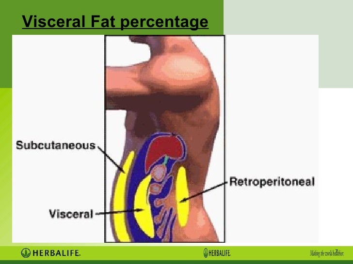 Herbalife Visceral Fat Chart