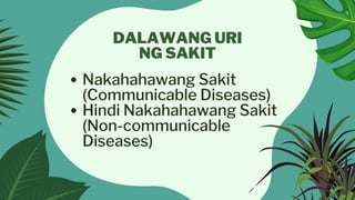 HEALTH 4 - MGA NAKAHAHAWANG SAKIT ALAMIN KUNG BAKIT.pdf