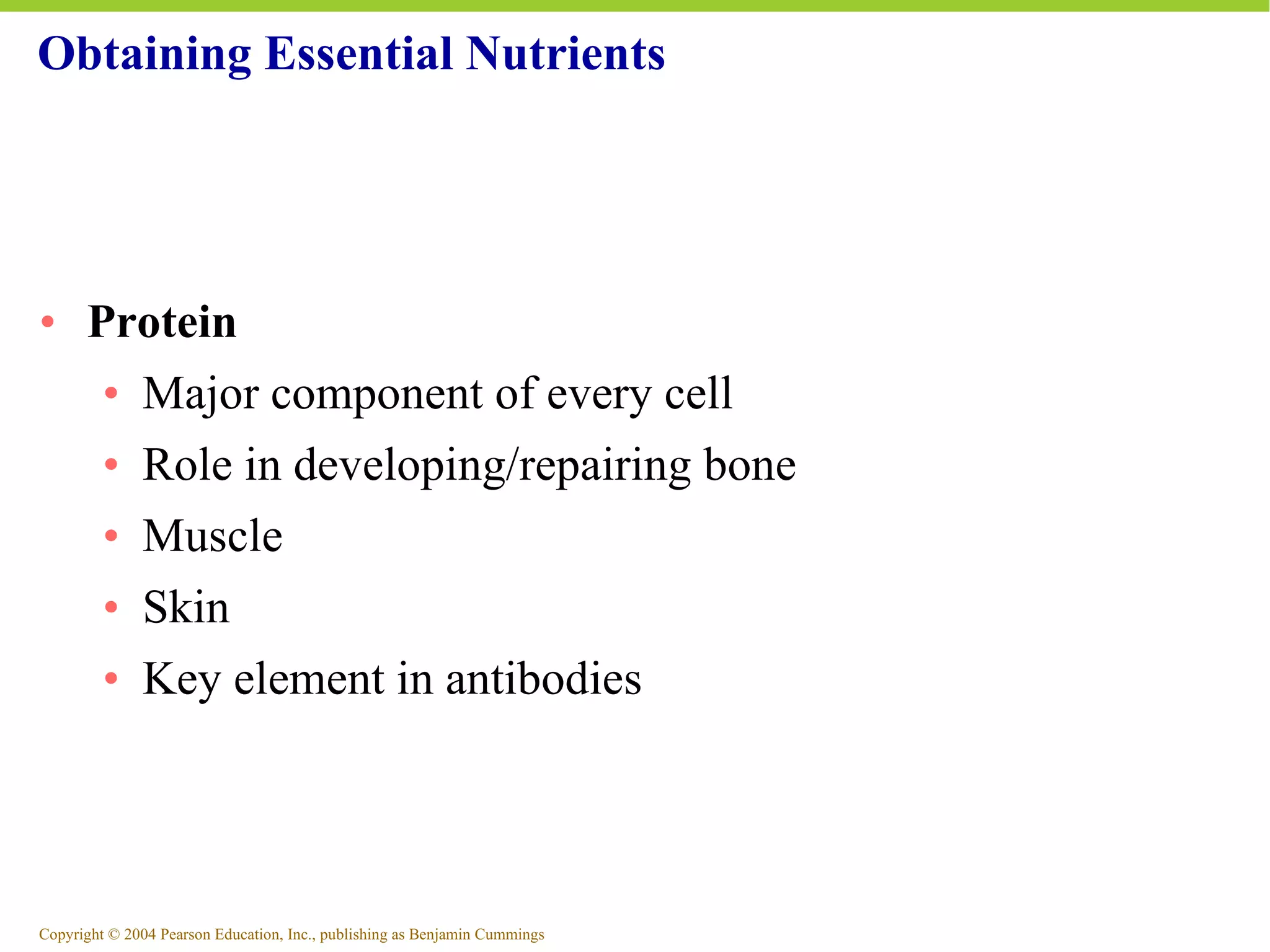 Obtaining Essential Nutrients Protein Major component of every cell Role in developing/repairing bone Muscle Skin Key element in antibodies 