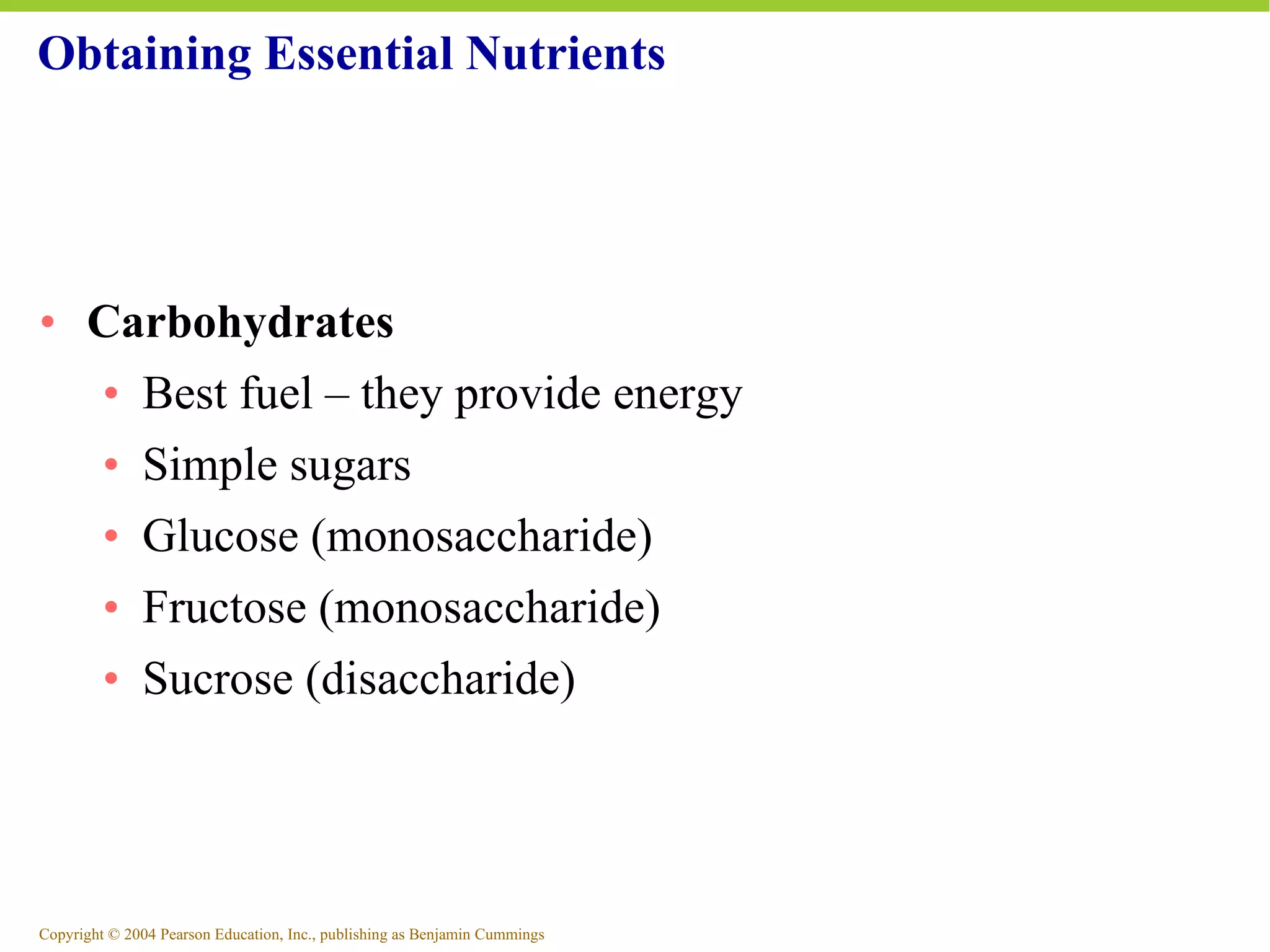 Obtaining Essential Nutrients Carbohydrates Best fuel – they provide energy Simple sugars Glucose (monosaccharide) Fructose (monosaccharide) Sucrose (disaccharide) 