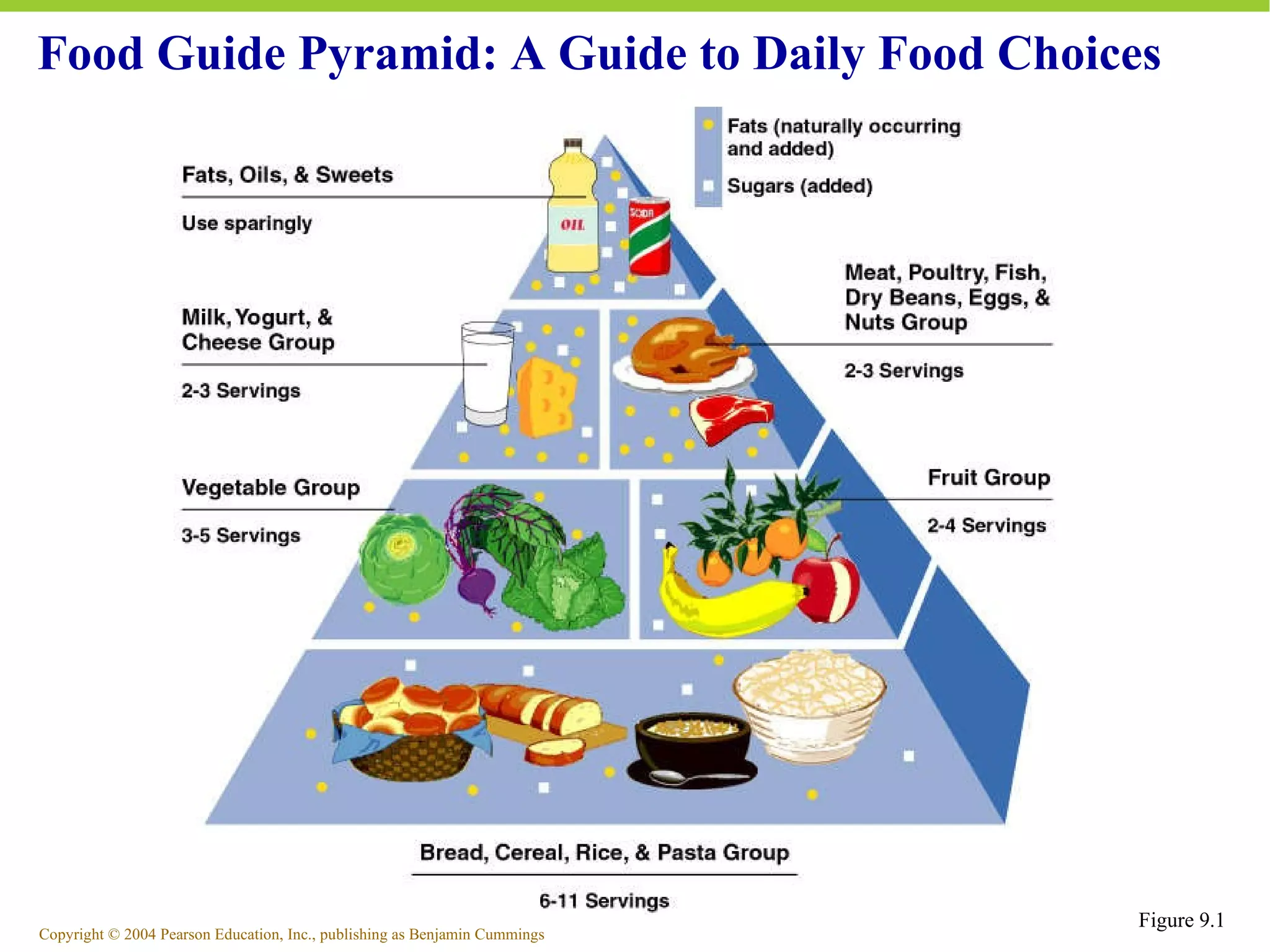 Food Guide Pyramid: A Guide to Daily Food Choices Figure 9.1 