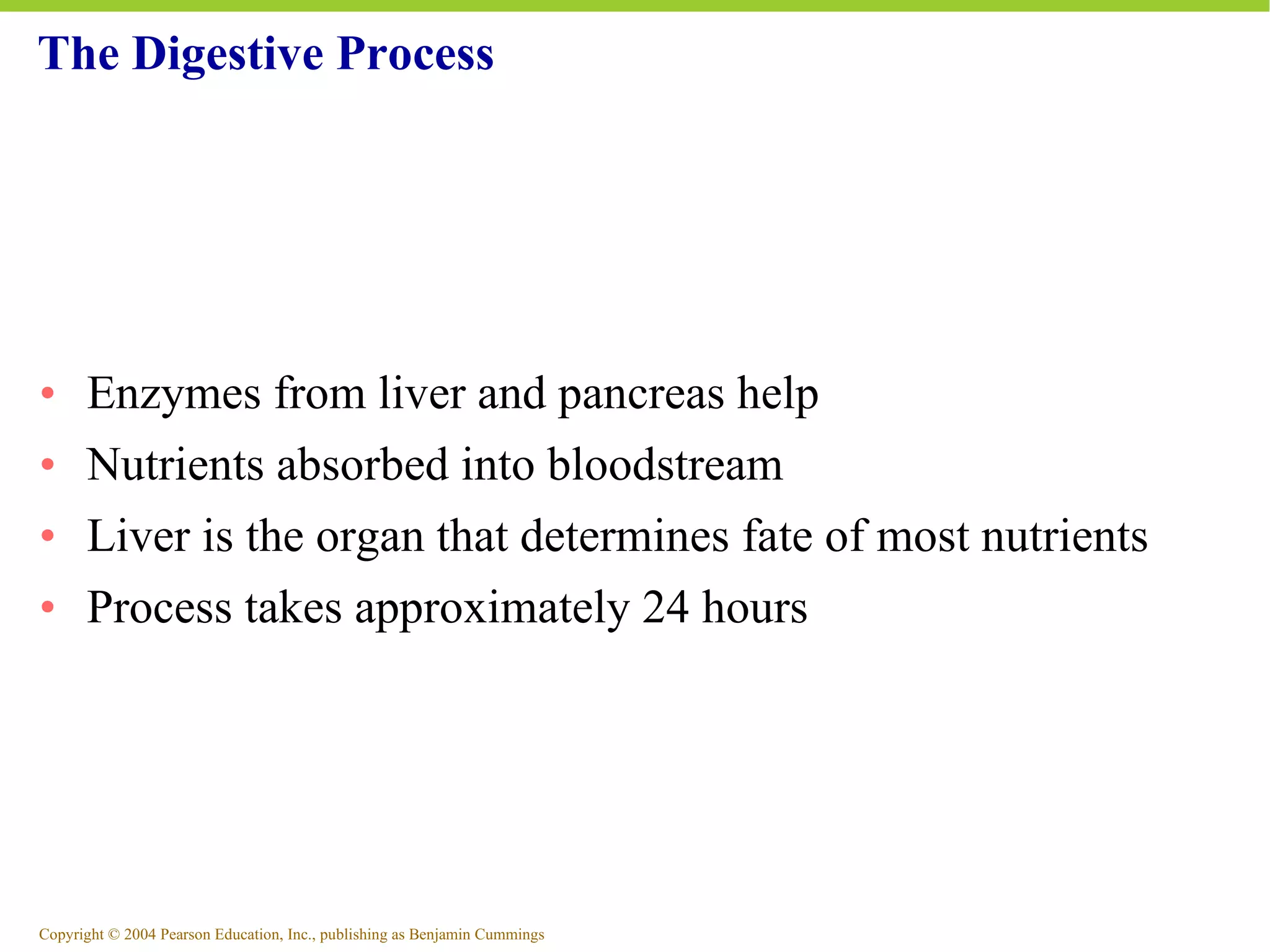 The Digestive Process Enzymes from liver and pancreas help Nutrients absorbed into bloodstream Liver is the organ that determines fate of most nutrients Process takes approximately 24 hours 