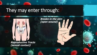 They may enter through:
Reproductive Tracts
(sexual contact)
Breaks in the skin
(open wound)
 