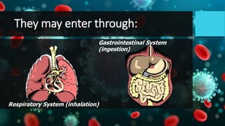 They may enter through:
Respiratory System (inhalation)
Gastrointestinal System
(ingestion)
 