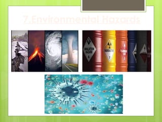 7.Environmental Hazards
 