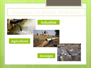 Sources of Water Pollution
Industrial
Agricultural
Sewages
 