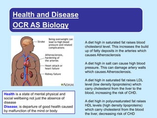 Health and Disease
OCR AS Biology
A diet high in saturated fat raises blood
cholesterol level. This increases the build
up of fatty deposits in the arteries which
causes Atherosclerosis
A diet high in salt can cause high blood
pressure. This can damage artery walls
which causes Atherosclerosis.

Health is a state of mental physical and
social wellbeing not just the absence of
disease
Disease; is departure of good health caused
by malfunction of the mind or body

A diet high in saturated fat raises LDL
level (low density lipoproteins) which
carry cholesterol from the liver to the
blood, increasing the risk of CHD.
A diet high in polyunsaturated fat raises
HDL levels (high density lipoproteins)
which carry cholesterol from the blood
the liver, decreasing risk of CHD

 
