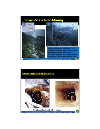 Health and Environmental Impact of Mercury in Small-Scale Gold Mining ...