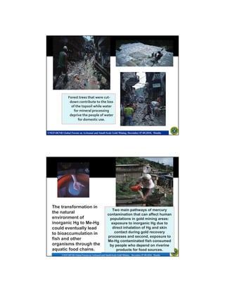 Health and Environmental Impact of Mercury in Small-Scale Gold Mining ...