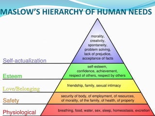 MASLOW’S HIERARCHY OF HUMAN NEEDS
 