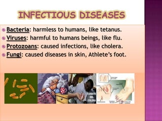  Bacteria: harmless to humans, like tetanus.
 Viruses: harmful to humans beings, like flu.
 Protozoans: caused infections, like cholera.
 Fungi: caused diseases in skin, Athlete’s foot.
 