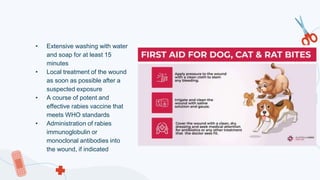 health and safety. education. university. | PPTX