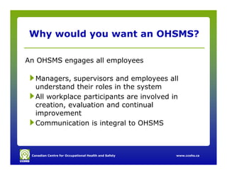 Ohs Programmes Hazard Prevention Programs and OHS Management Systems | PDF