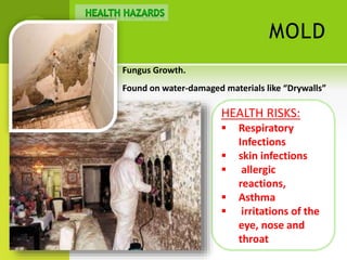 Curated Apartment Renovation Health Risks Gallery View 46