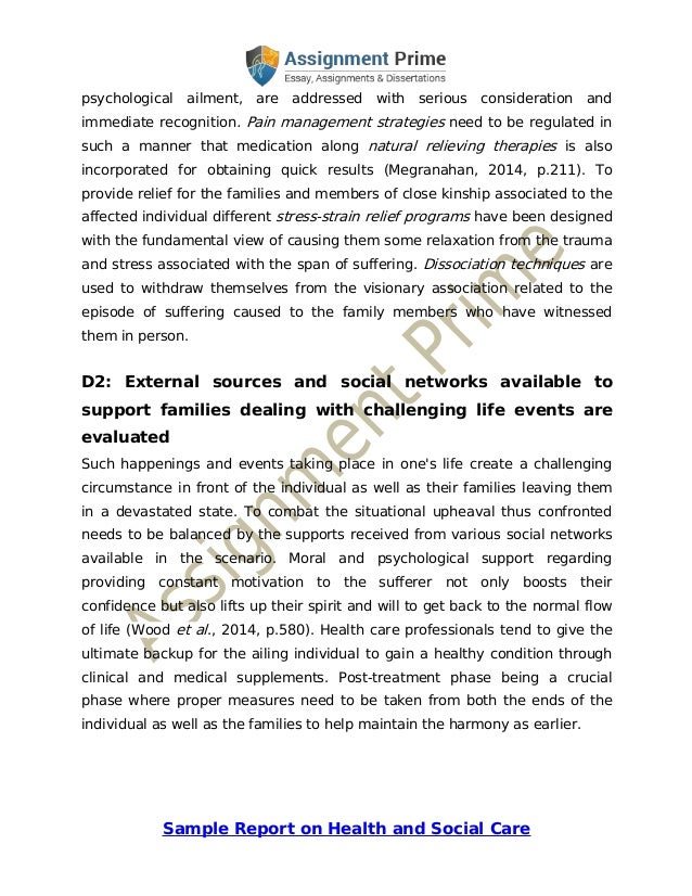 HealthCare Essay Sample | Free Descriptive Essay Example For Students