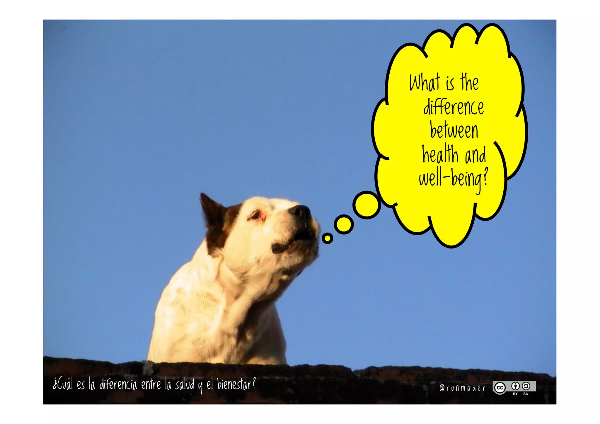 What is the
difference
between
health and
well-being?
¿Cuál es la diferencia entre la salud y el bienestar? @ r o n m a d e r
 