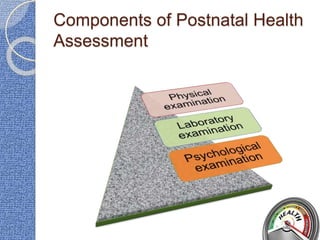 Components of Postnatal Health
Assessment
 