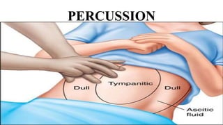 PERCUSSION
 
