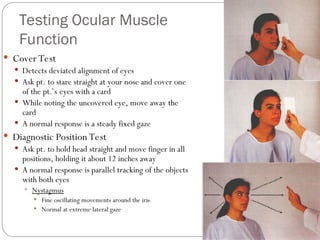 Health Assessment- Lab Chapter 16 eye.ppt