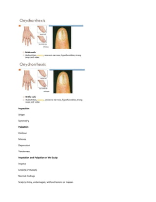 Inspection
Shape
Symmetry
Palpation
Contour
Masses
Depression
Tenderness
Inspection and Palpation of the Scalp
Inspect
Lesions or masses
Normal findings
Scalp is shiny, undamaged, without lesions or masses
 