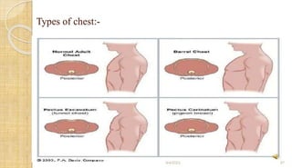 Health assessment GNM & B.Sc.pptx