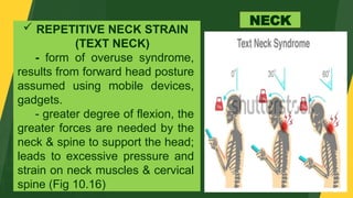 Comprehensive Health Assessment of the Neck: Anatomy, Symptoms, and ...