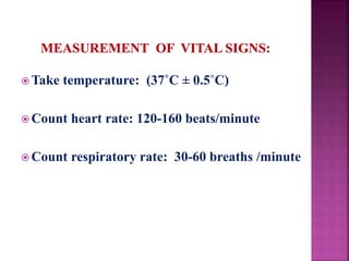  Take temperature: (37˚C ± 0.5˚C)
 Count heart rate: 120-160 beats/minute
 Count respiratory rate: 30-60 breaths /minute
 