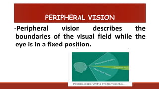 Peripheral Perception Health assessment on examination of the eyes | PPTX