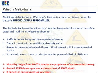3
What is Melioidosis
Melioidosis (also known as Whitmore’s disease) is a bacterial disease caused by
bacteria BURKHOLDERIA PSEUDOMALLEI.
This bacteria live below the soil surface but after heavy rainfall are found in surface
water and mud and may become airborne
• It affects human being and many species of animals
• Found in moist soil, rice paddies and muddy water
• Spread to humans and animals through direct contact with the contaminated
source
• It the environment it can remain dormant for years or kill within 48 hours
 Mortality ranges from 40-75% despite the proper use of antimicrobial therapy.
 Around 165000 cases per year estimated out of 90000 death.
 It Persists in Environment up to 6 years
 