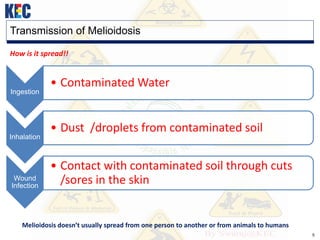 5
Transmission of Melioidosis
How is it spread!!
Ingestion
• Contaminated Water
Inhalation
• Dust /droplets from contaminated soil
Wound
Infection
• Contact with contaminated soil through cuts
/sores in the skin
Melioidosis doesn’t usually spread from one person to another or from animals to humans
 