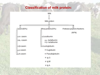 Health benefit of milk protein | PPTX