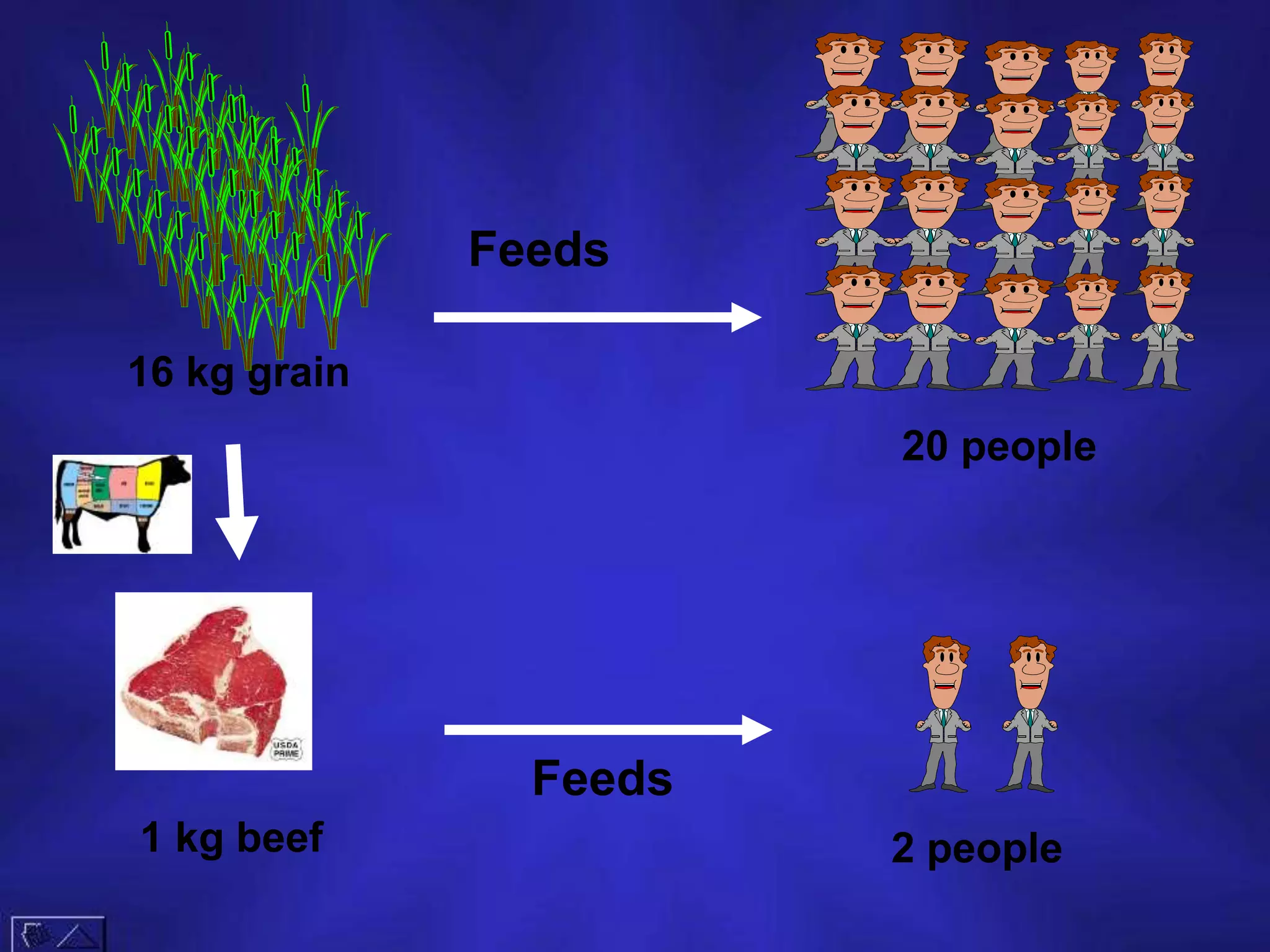 16 kg grain
1 kg beef
20 people
2 people
Feeds
Feeds
 