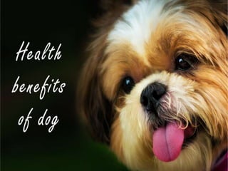 Health Benefits of Owning a Dog