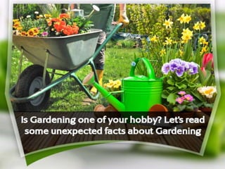Is Gardening one of your hobby? Let’s read some unexpected facts about Gardening