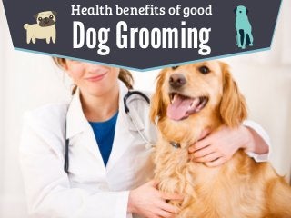 Health benefits of good
Dog Grooming
 