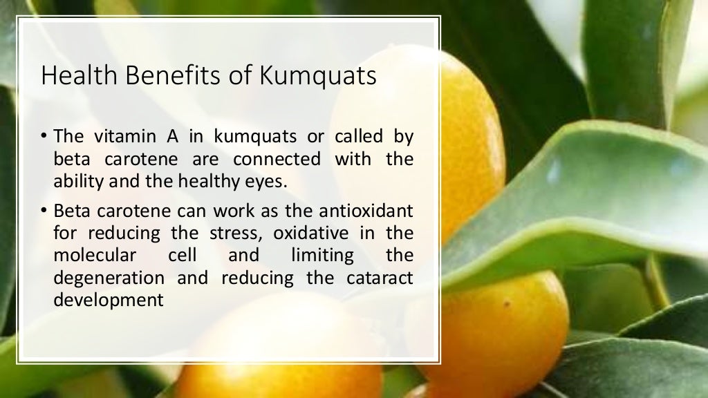 Health Benefits of Kumquat Kumquat Health Benefits