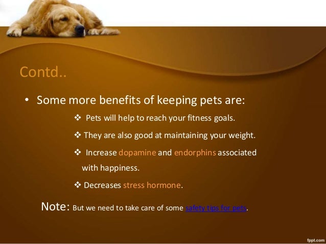 Health benefits of pets