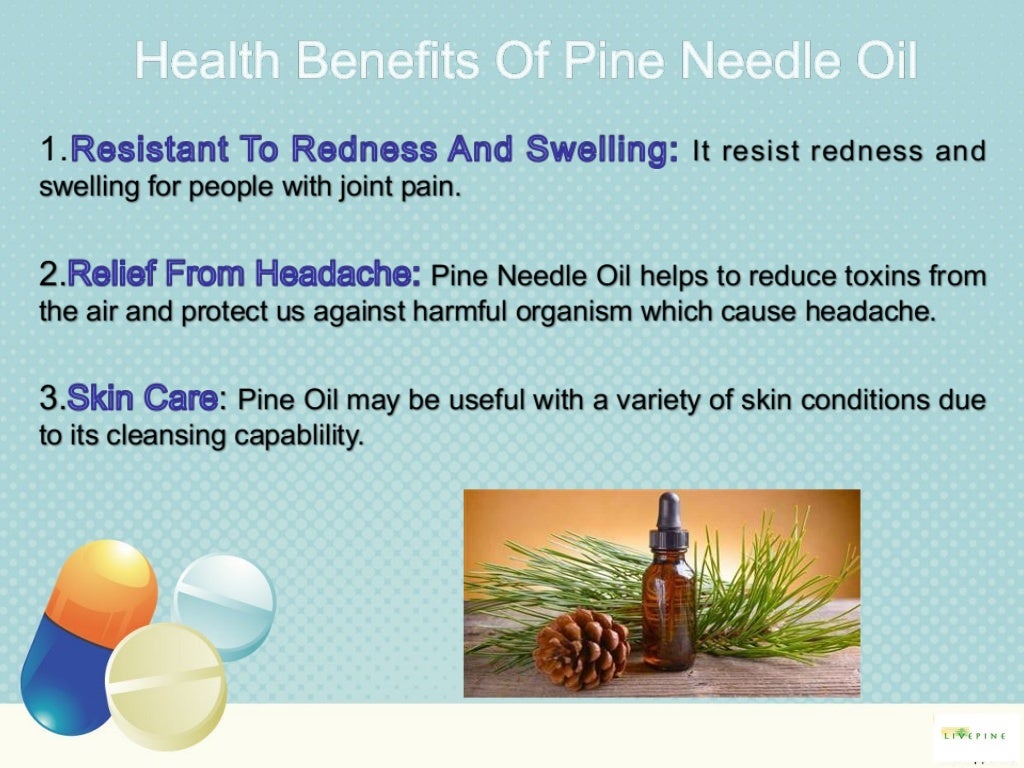 Health Benefits Of Pine Needle Oil