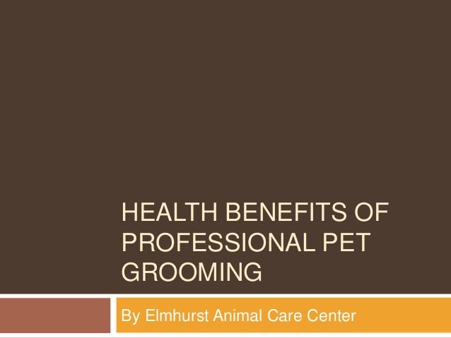 Health Benefits of Professional Pet Grooming