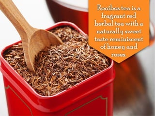 The rooibos tea: presentation and history
