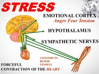 EMOTIONAL CORTEX
CONSTRICTS
BLOOD
VESSELSFORCEFUL
CONTRACTION OF THE HEART
Anger Fear Tension
 