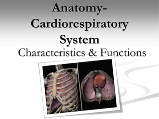 Anatomy-
Cardiorespiratory
System
Characteristics & Functions
 