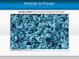 AiroCide Is Proven  Bacillus subtilis  Fully Mineralized (Organisms Eliminated) Electron Microscope   University of Florida 