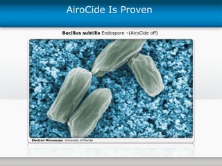 AiroCide Is Proven  Bacillus subtilis  Endospore –(AiroCide off) Electron Microscope   University of Florida 