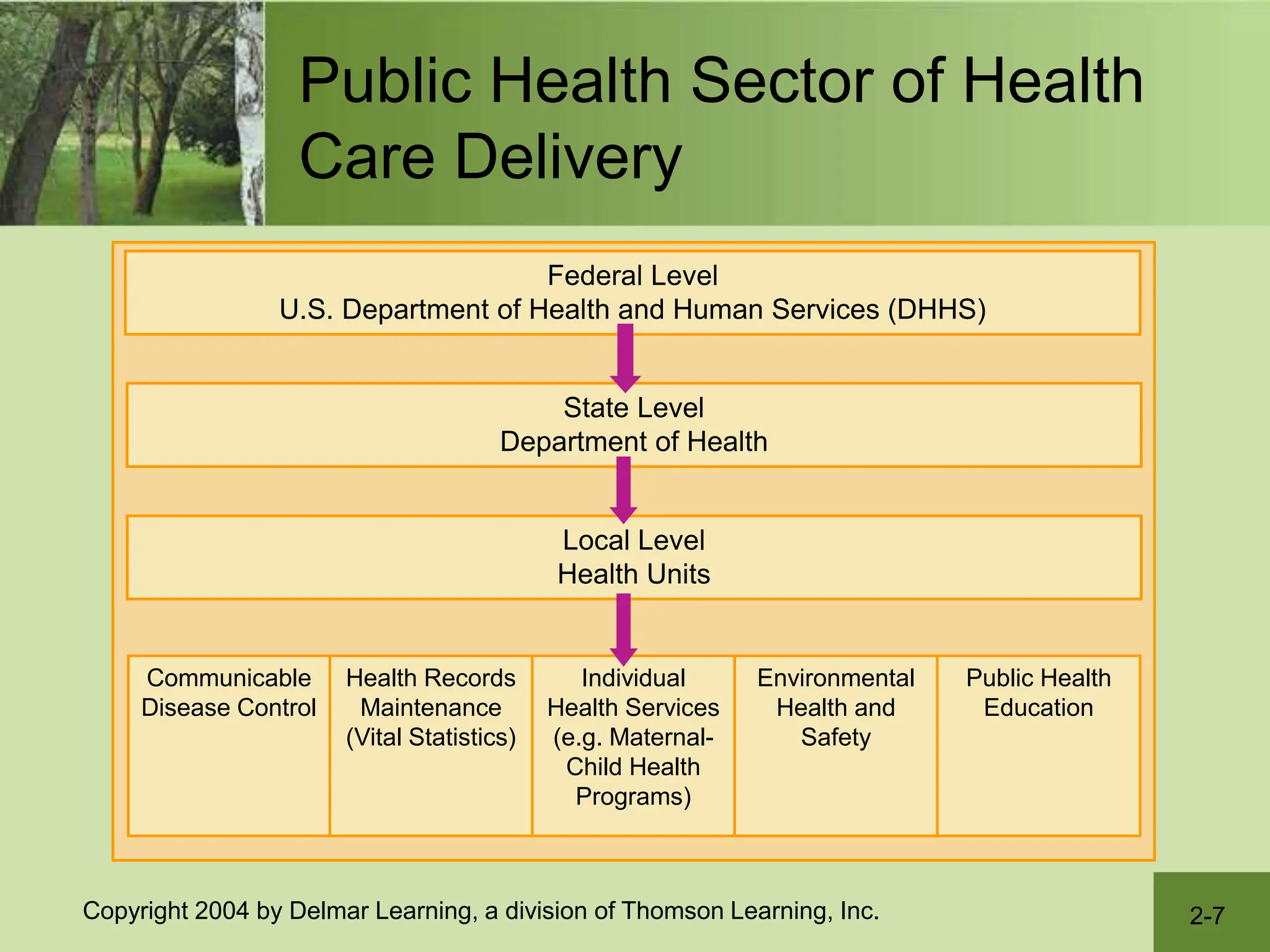 2-7
Copyright 2004 by Delmar Learning, a division of Thomson Learning, Inc.
Public Health Sector of Health
Care Delivery
Communicable
Disease Control
Health Records
Maintenance
(Vital Statistics)
Individual
Health Services
(e.g. Maternal-
Child Health
Programs)
Environmental
Health and
Safety
Public Health
Education
Federal Level
U.S. Department of Health and Human Services (DHHS)
State Level
Department of Health
Local Level
Health Units
 