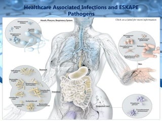 Healthcare Associated Infections and ESKAPE
Pathogens
 