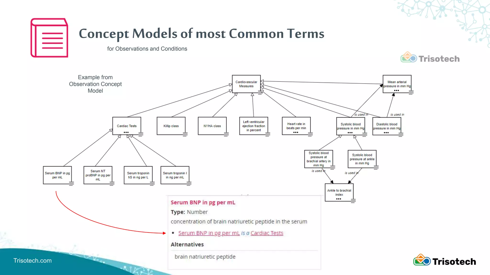Trisotech.com
Example from
Observation Concept
Model
Concept Models of most Common Terms
for Observations and Conditions
 