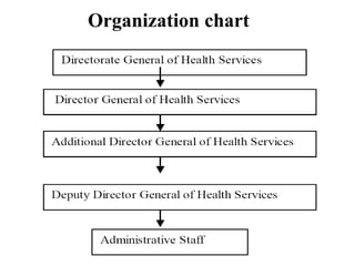 Organization chart
 
