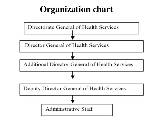 Phc Organizational Chart